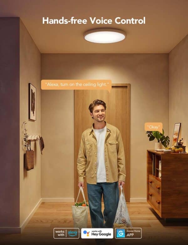 Illuminate Your Space: The Ultimate Buying Guide for Govee Smart Ceiling Light Fixtures