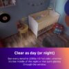 Roku Indoor Camera 2-Pack: The Essential Guide to Home Security and Pet Monitoring
