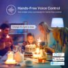 Smart Lighting Made Easy: Your Complete Guide to Kasa Full Color Changing Bulbs