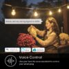 Smart Outdoor Living: Your Complete Guide to Kasa's Weather-Resistant Smart Plug