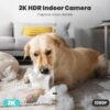 The Ultimate Buying Guide to the Litokam 2K Indoor Security Camera: Protect Your Home with 360° Coverage