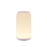 Versatile Lighting Solutions: How to Pick the Best 4-Level Brightness Outdoor Lamps