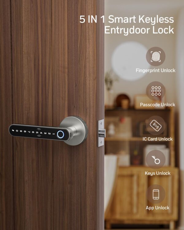 Your Keyless Future: A Comprehensive Guide to Choosing the TMEZON Fingerprint Door Lock