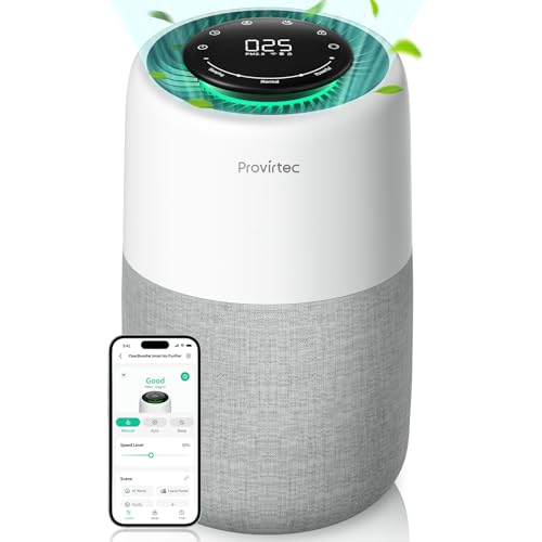 HEPA Air Purifier with PM2.5 Monitor