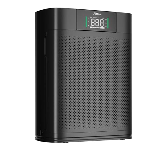Large Room Air Purifier with Monitor